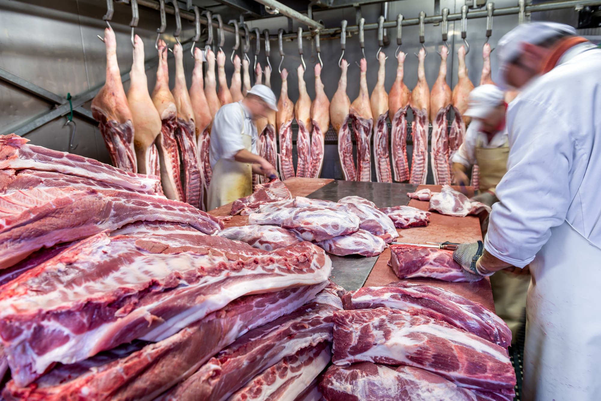 Производители мясных продуктов. Мясная промышленность. Мясоперерабатывающая промышленность. Перерабатывающие предприятия мяса.